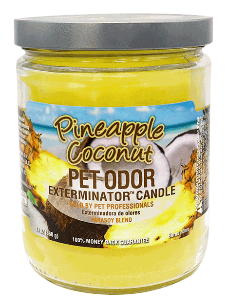VELON PINEAPLE COCONUT PET ODOR