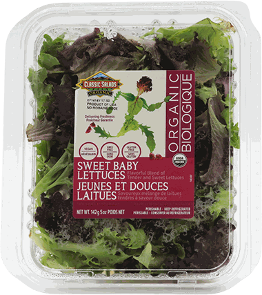 CLASSIC SAL LECHUGA DULCE ORG 5 OZ