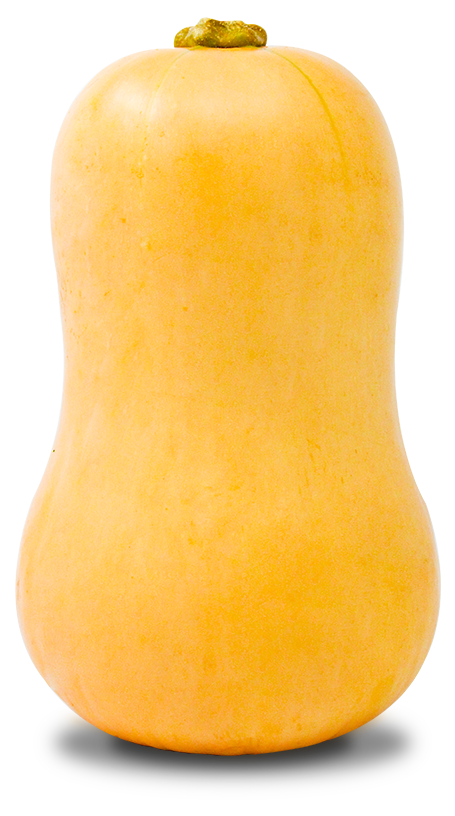 SQUASH BUTTERNUT IMP LB