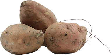 Batata Americana ImpLB