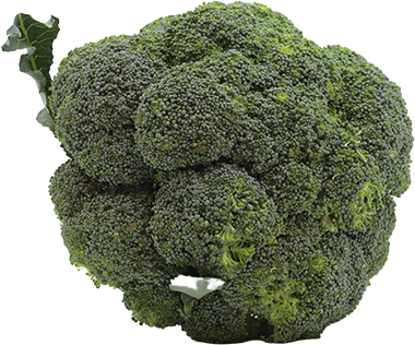 BROCOLI LB