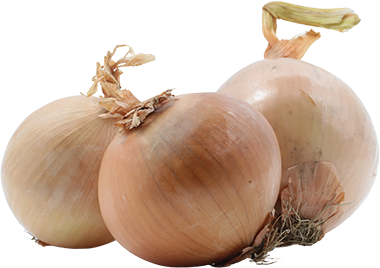 Cebolla Amarilla ImpLB