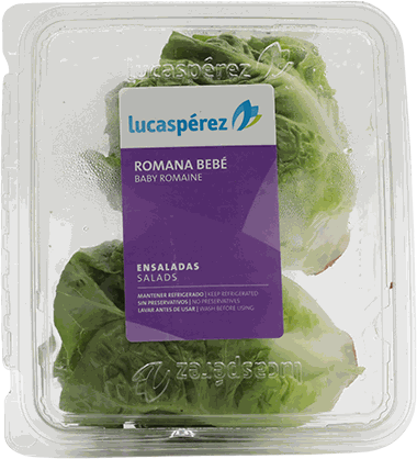 LECHUGA ROMANA BEBE (GLP)