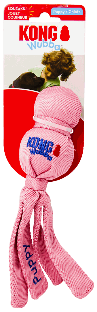 KONG JGTE TUGGA WUBBA SM
