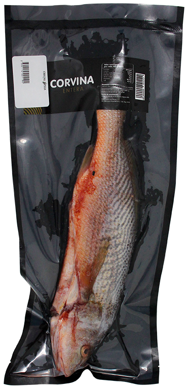 Corvina Entera FrescaLB