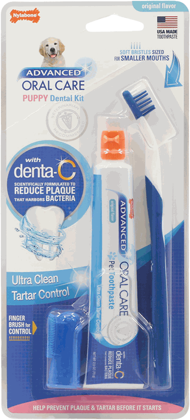 NYLABONE KIT CEPILLO DENTAL/PASTA
