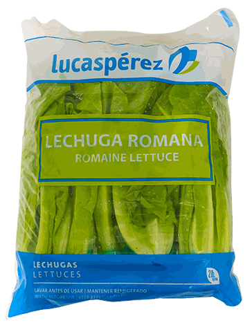 HOJA DE ROMANA (GLP)