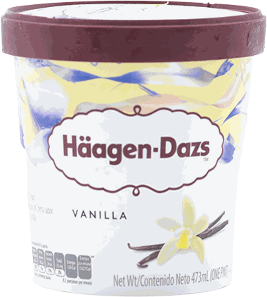 HAAGEN DAZS VANILLA 16 OZ