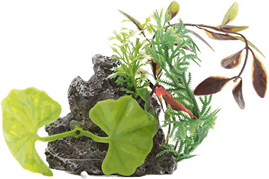 HAGEN ADORNO ROCA C/PLANTA XS