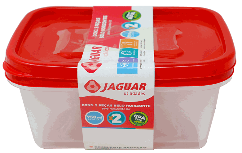 JAG ENVASE PLAST. RECTAN. 2 PZ 0650