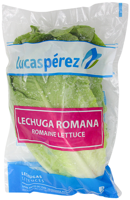 LECHUGA ROMANA PAQ (GLP)