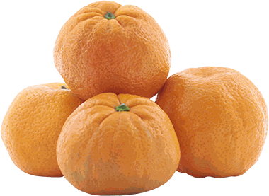 MANDARINA IMP LB