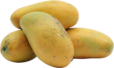MANGO LB