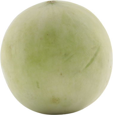 Melon BlancoUND
