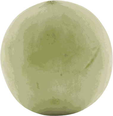 MELON BLANCO UNIDAD