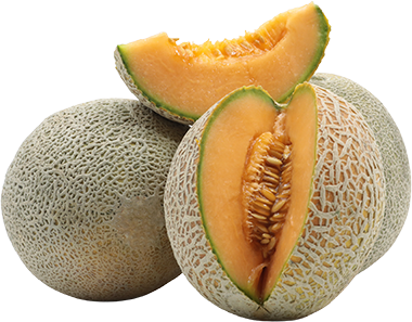 Melon CantalupeUND