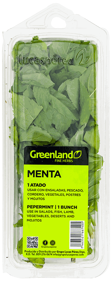 MENTA AROMATICA