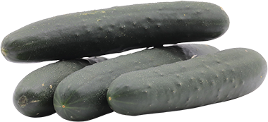 PEPINO LB