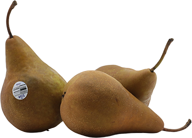 Pera Bosc Marron ImpLB