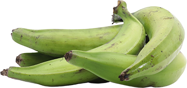 PLATANO VERDE UN