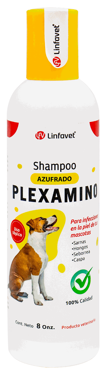 PLEXAMINO SHAMPOO AZUFRADO 8 OZ