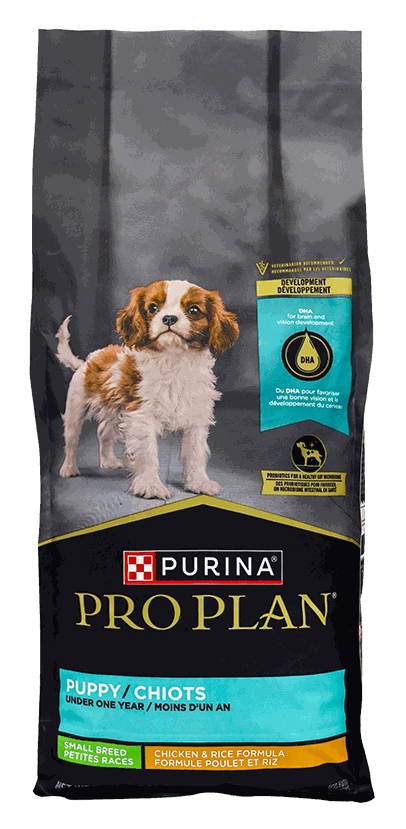 PUPPY SMALL BREED 6LB - PRO PLAN