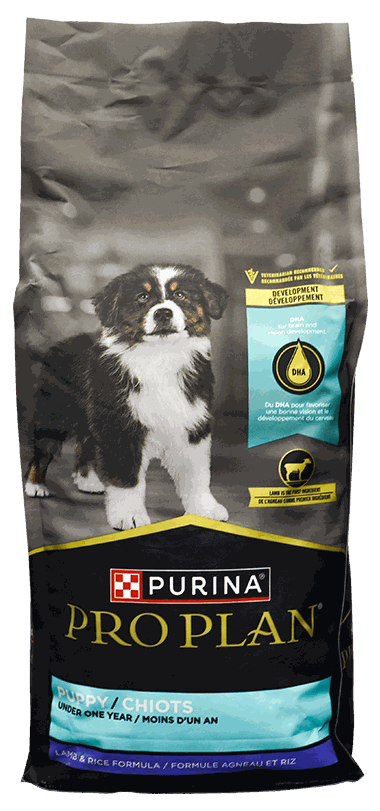 PUPPY LAMB & RICE 6LB - PRO PLAN