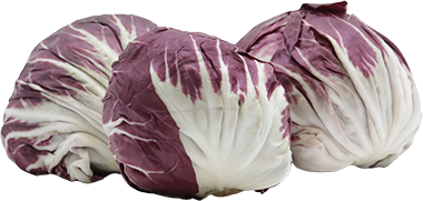 Radicchio ImpLB