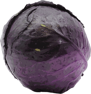REPOLLO MORADO
