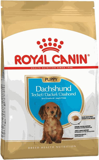 DACHSHUND JUNIOR SALCHICHA 1.5 K - ROYAL CANIN
