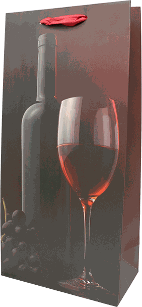 BOLSA P/ 2 BOTELLAS CT