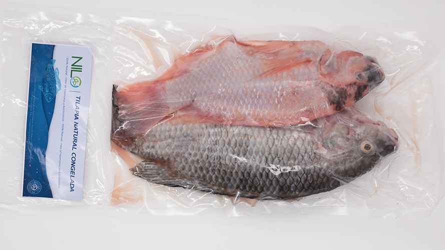 Tilapia Natural CongeladaLB