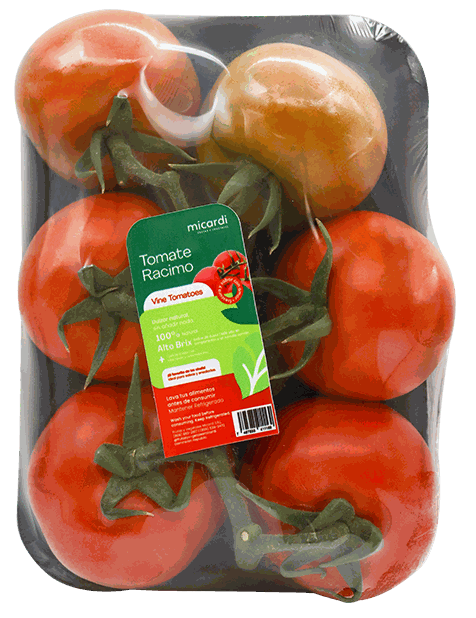 TOMATE EN RACIMO