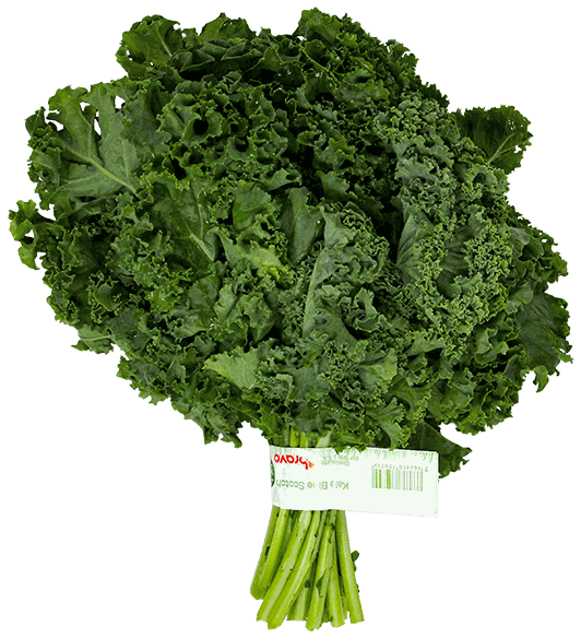 KALE BLUE SCOTCH UN