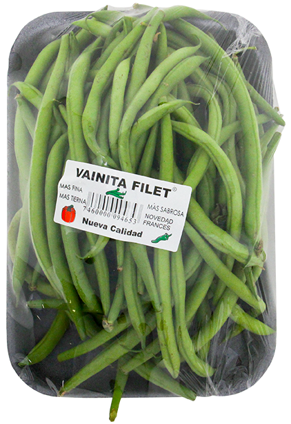 Vainita Italiana FiletPAQ