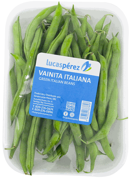 VAINITA ITALIANA PAQ.