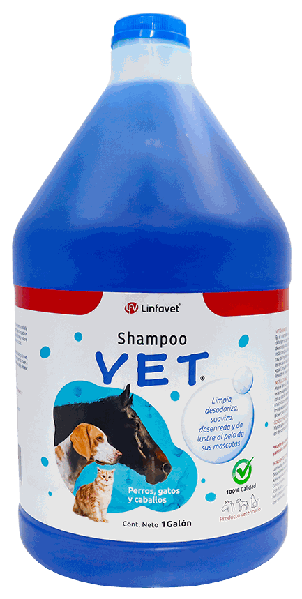 VET SHAMPOO 1GL