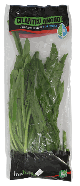 CILANTRO ANCHO EMP.