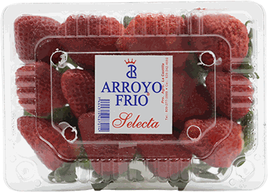 ARROYO FRIO FRESAS SELECTAS UN