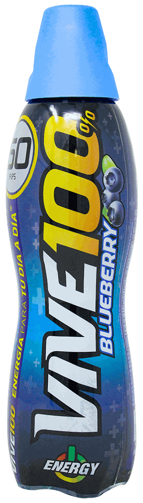 VIVE 100 BLUE BERRY 500ML