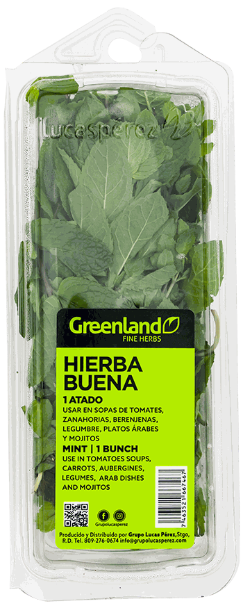 HIERBA BUENA