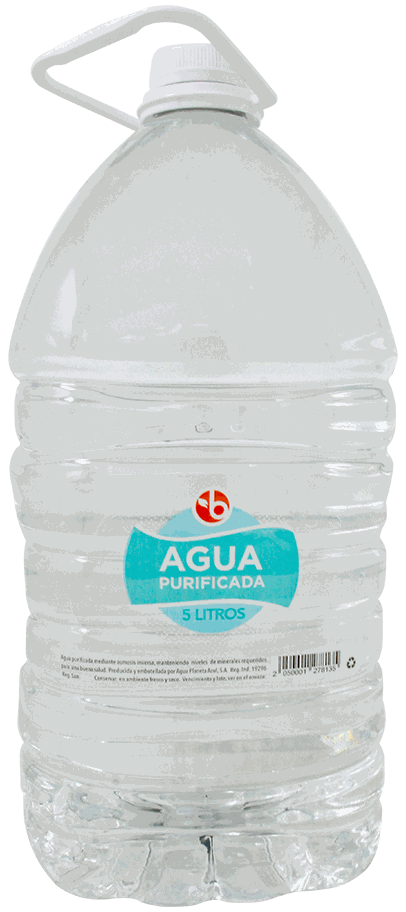 BRAVO AGUA 5 LT