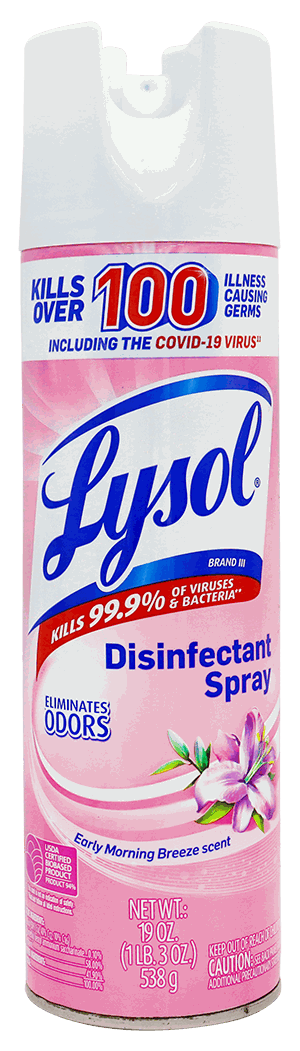 LYSOL DESINFECTANTE SPRAY EARLY 19 OZ