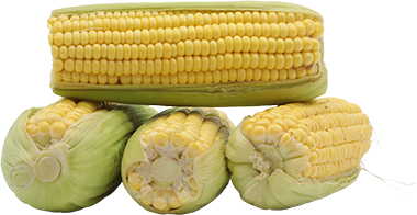Maiz DulcePAQ