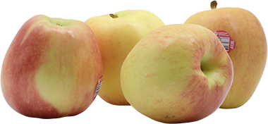 MANZANA GALA-FUJI IMP LB