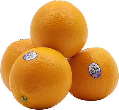 Naranja Navel ImpLB