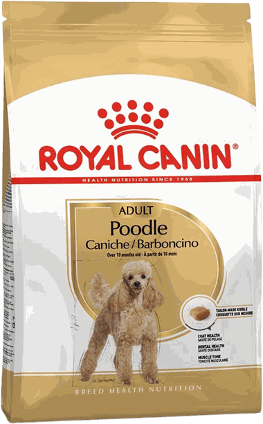 MINI POODLE ADULTO 1.5KG - ROYAL CANIN