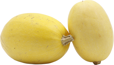 Calabaza Espaguettis Importada4 LB