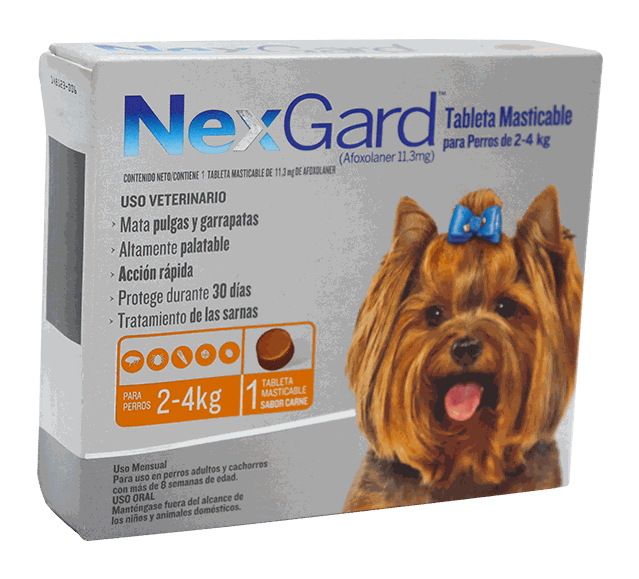 NEXGARD S 2-4 KG