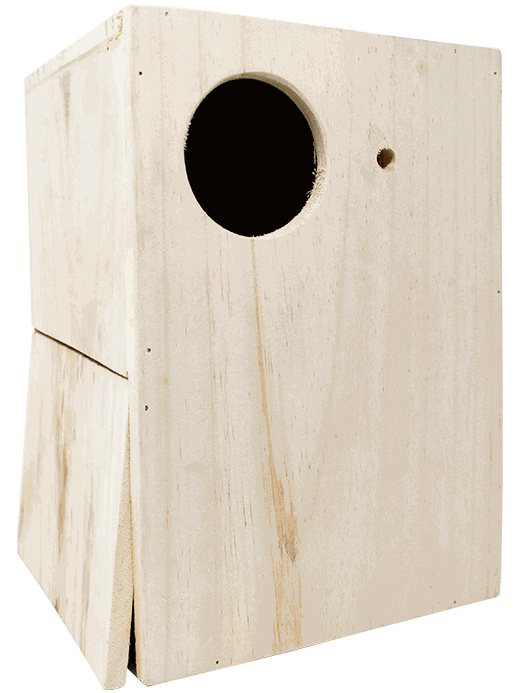 ARCA NIDO CACATUA